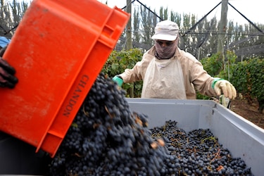 Instalarán hub para reexportar vino argentino en ZLC