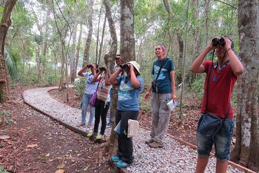 Gira para exploradores con ojos ágiles en el Parque Natural Metropolitano