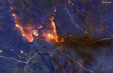 Incendios destruyeron el 20% de los bosques
