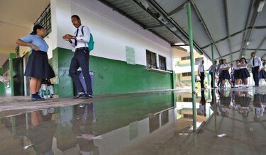 Murciélagos y palomas,  focos de contaminación en  escuela