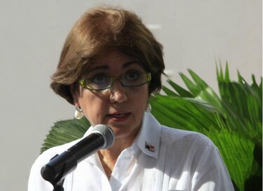 'No hemos terminado de salir de la pesadilla del gobierno anterior': Pedreschi