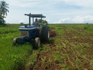 En isla Cañas buscan fortaceler la seguridad alimentaria