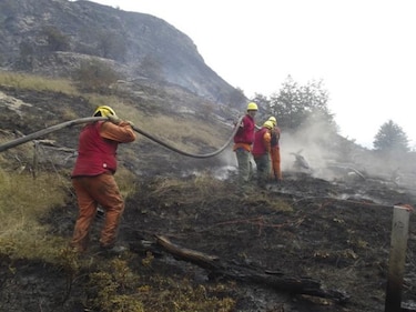 Chile anuncia demanda contra responsables de incendio en Patagonia