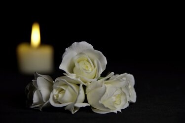 Descansa en paz Maria Lucia Spirito Gordon