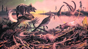 ‘Ratas’ de hace 145 millones de años