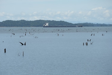 Crisis del Canal se extiende: industria marítima auxiliar pierde el 50% del mercado