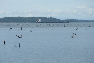 Gremios piden atender crisis del agua, CSS y manejo fiscal durante los primeros 100 días del nuevo gobierno