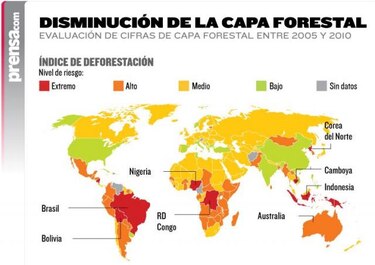Nigeria e Indonesia encabezan lista de deforestación en el mundo