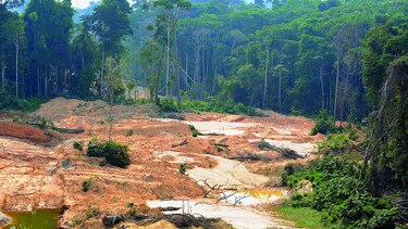 Alerta por el Amazonas