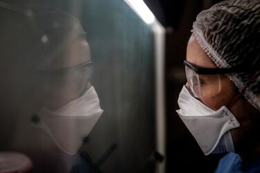 Argentina aprueba ensayo clínico de un suero equino en pacientes con Covid-19