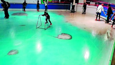 Cierran pista con peces congelados