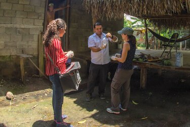 Día Mundial del Mosquito: ¿qué impulsa el aumento de dengue y malaria en Panamá?