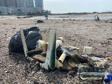 Tres embajadas organizan limpieza de playa en el área de la cinta costera
