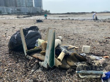 Tres embajadas organizan limpieza de playa en el área de la cinta costera