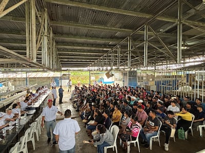 Sobrepasan las 1,600 personas interesadas en trabajar con Chiquita en Bocas del Toro