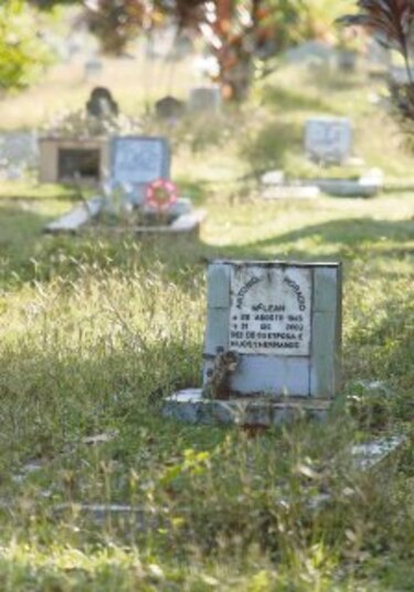 Inac no tiene presupuesto para limpiar cementerio