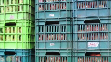 Aduanas decomisa productos agrícolas en tierras altas y Costa Rica