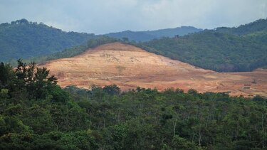 Proceso penal a Richard  Fifer por delito ambiental