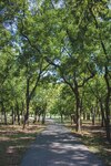 ‘Biodiverciudades’, una nueva tendencia en Latinoamérica