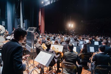 El Festival Alfredo De Saint Malo celebra 20 años con la monumental ‘Resurrección’ de Mahler