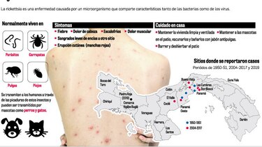 ‘Rickettsia rickettsii’ es un mal letal y reemergente en Panamá