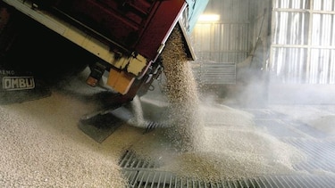Productores de soja guardan su cosecha por alza de arancel