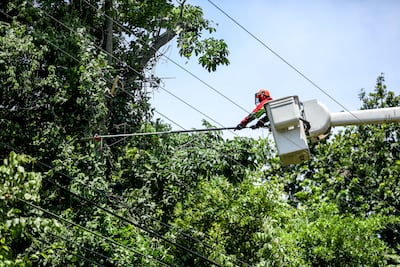 Trabajos de mantenimiento en la red eléctrica del 15 al 21 de diciembre 2025