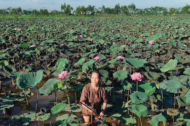 La seda de loto: Un tejido ecológico raro y codiciado