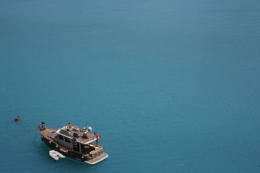 Microorganismos tiñen de turquesa las aguas de Estambul