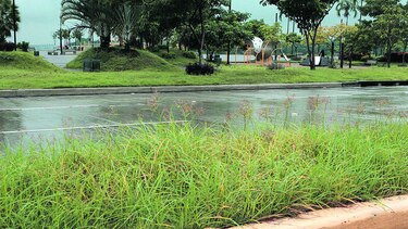 $21.2 millones para cuidar la cinta costera