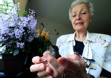 Un hospital para colibríes