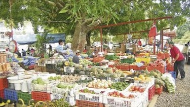 Falta de mercados afecta a productores