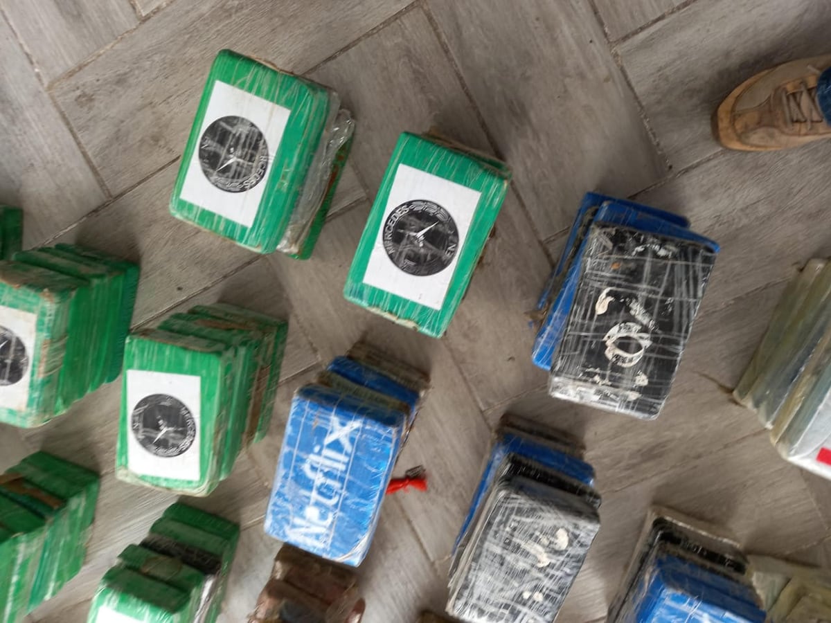 19 toneladas de drogas han sido decomisadas en lo que va del año en ...