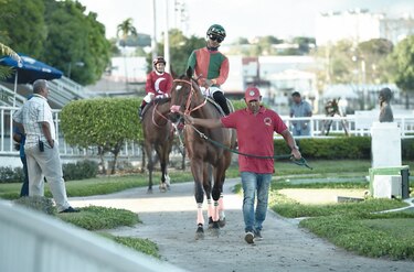 El último bastión del deporte panameño cede ante la pandemia del coronavirus