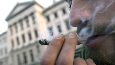 Gobierno uruguayo dispuesto a vender marihuana por fuera de farmacias