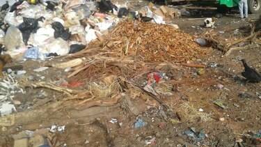 Vence el plazo dado para que el Municipio de Chitré utilice vertedero de basura de Ocú