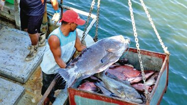 PIB de Perú repunta en febrero y llega al 2.86%