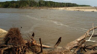 Represas causan pérdida de varios kilómetros de costa, según estudio