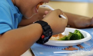 Minsa y OMS comienzan plan para prevenir obesidad infantil