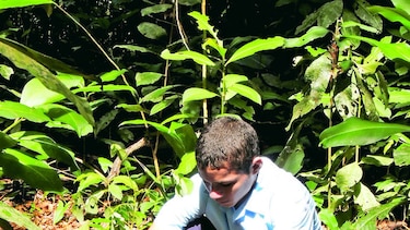 Plantar para la eternidad