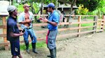 Ecoturismo, una opción para conservar al jaguar