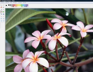 Microsoft anuncia el final de los días de su pionera aplicación Paint