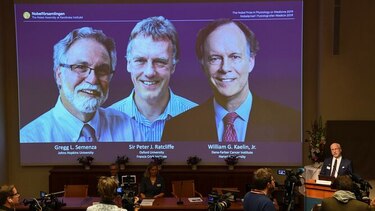 Nobel de Medicina para un trío que investigó cómo se adaptan las células al oxígeno