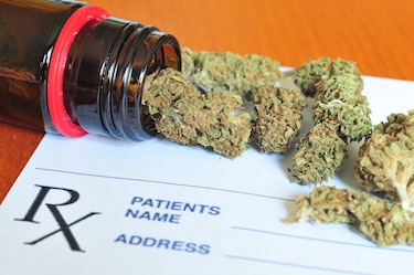 Cannabis medicinal en Panamá: cuatro años después, la ley por fin en marcha