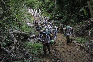 Panamá espera disminuir ingreso de 200 mil migrantes irregulares este año, según ministro Ábrego
