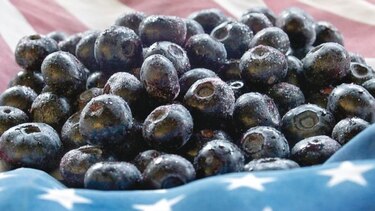 Chile anota récord en exportaciones de frutas