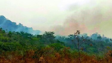 Controlan en un 80% fuego en Darién
