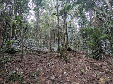 Alerta en Darién por reactivación de células de tráfico humano