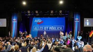 El dilema que enfrenta Europa tras la victoria de la extrema derecha en Alemania