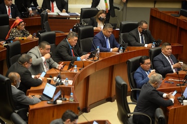 El pleno de la Asamblea arrancó motores con el reto de conformar las comisiones permanentes
